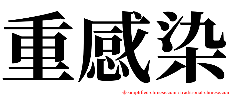 重感染 serif font