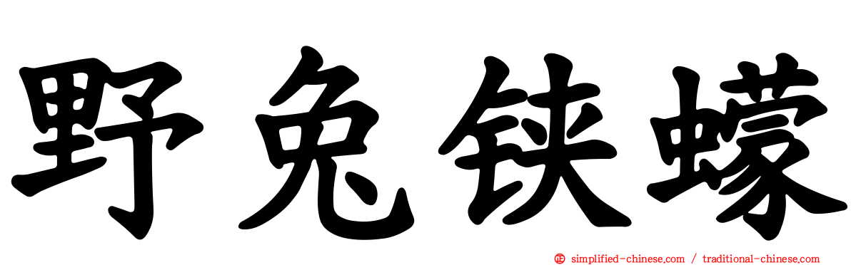 野兔铗蠓