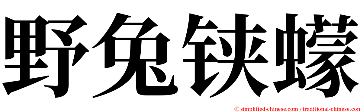 野兔铗蠓 serif font