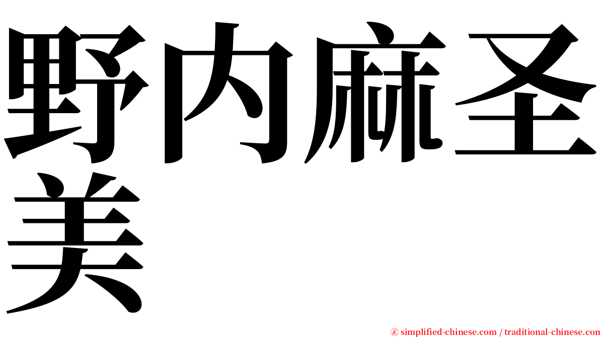 野内麻圣美 serif font