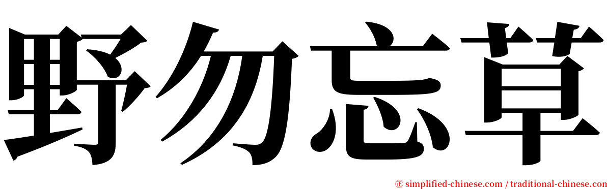 野勿忘草 serif font