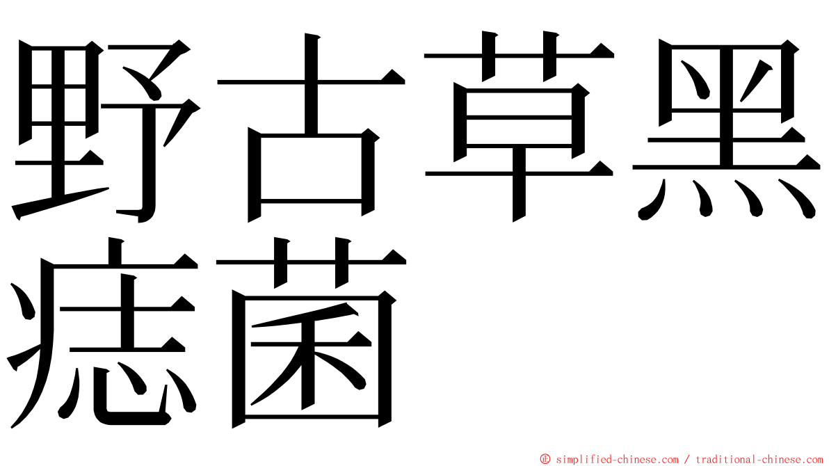 野古草黑痣菌 ming font