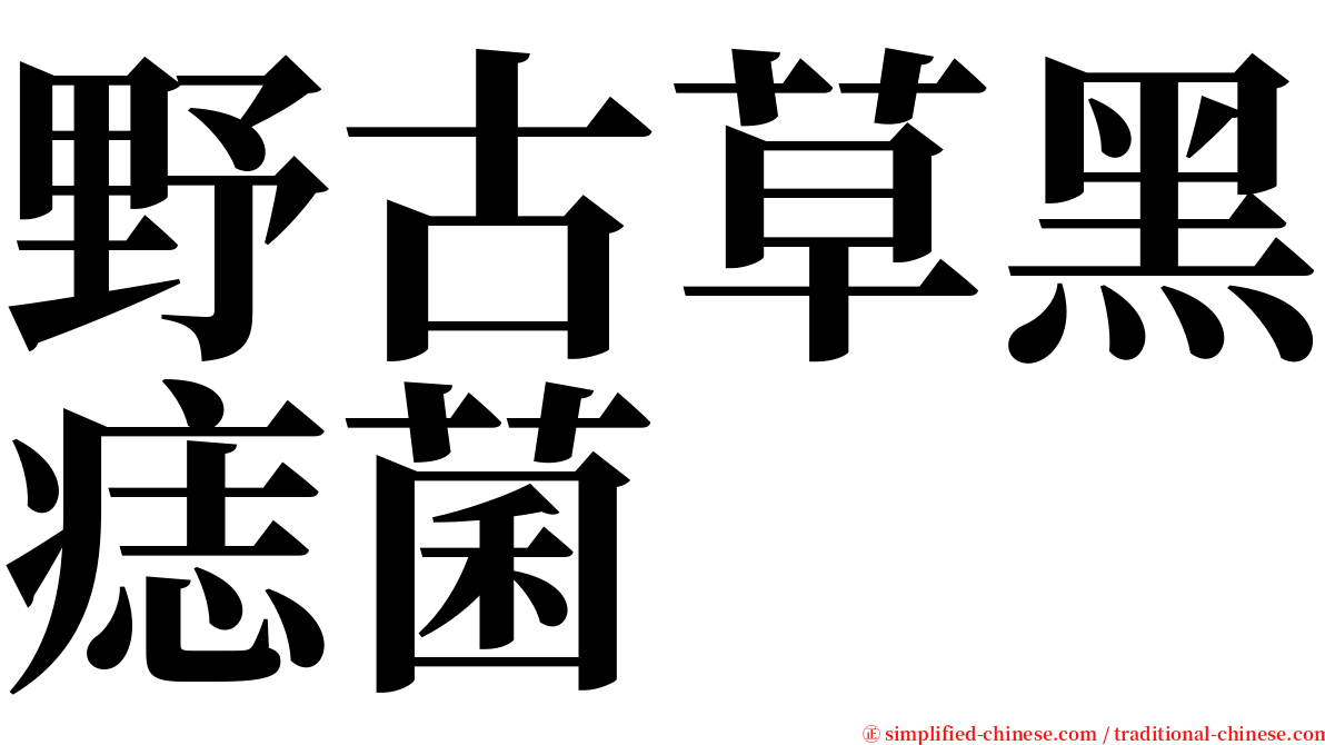 野古草黑痣菌 serif font