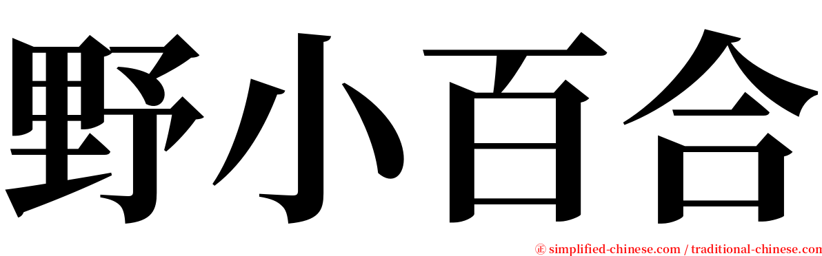 野小百合 serif font