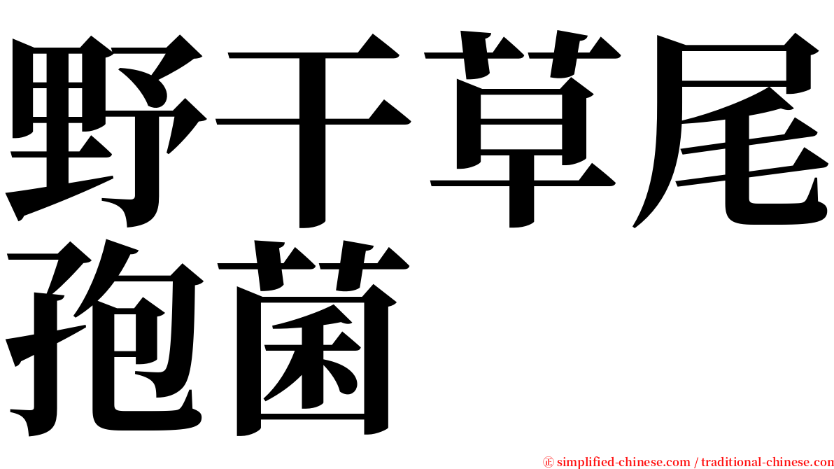 野干草尾孢菌 serif font