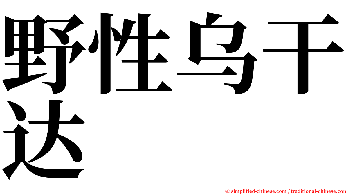 野性乌干达 serif font