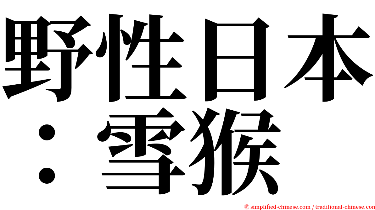 野性日本：雪猴 serif font