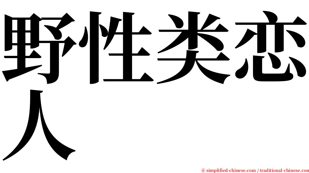 野性类恋人 serif font