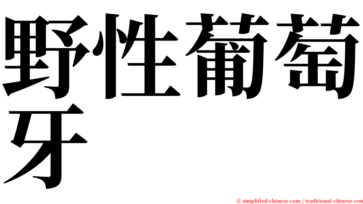 野性葡萄牙 serif font