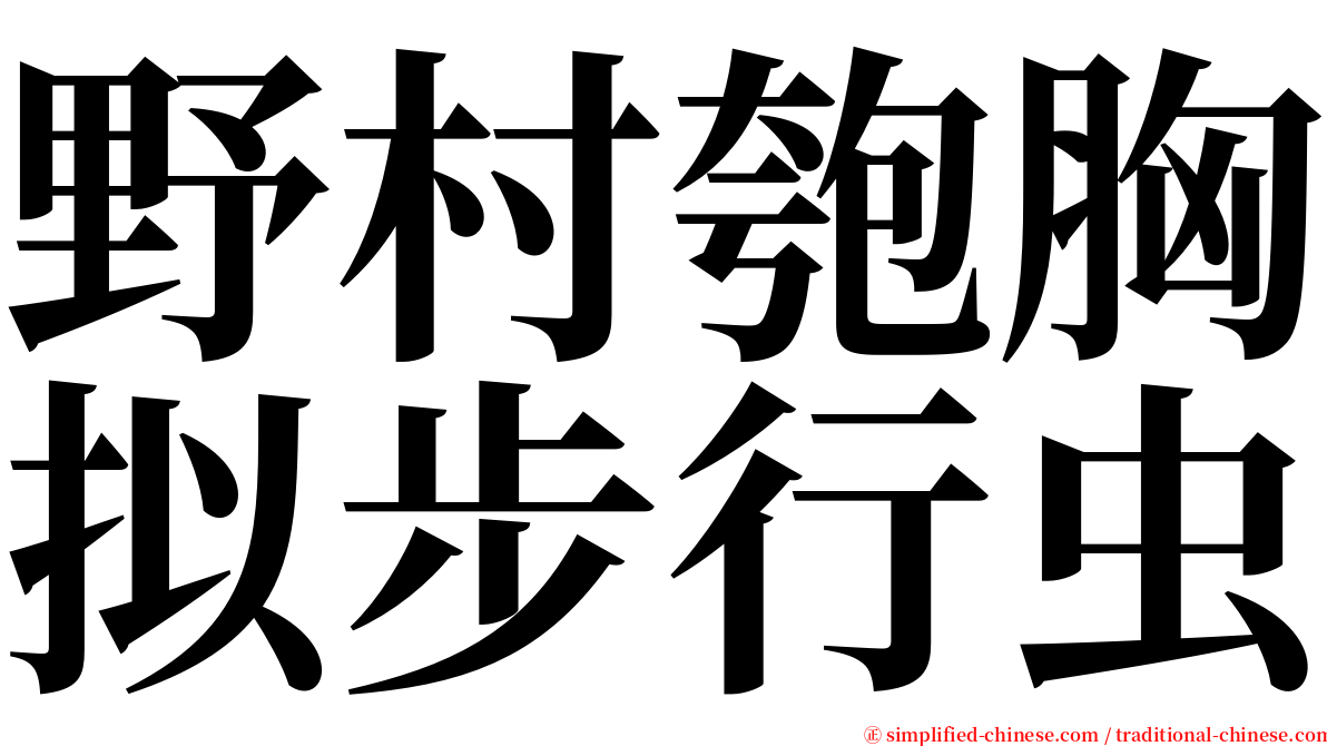 野村匏胸拟步行虫 serif font