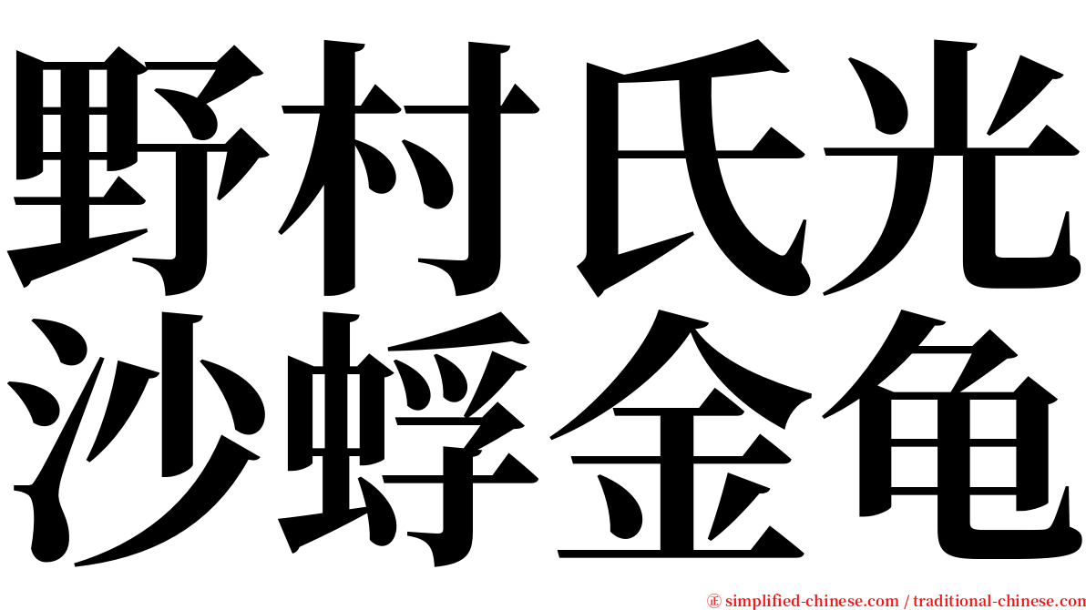 野村氏光沙蜉金龟 serif font