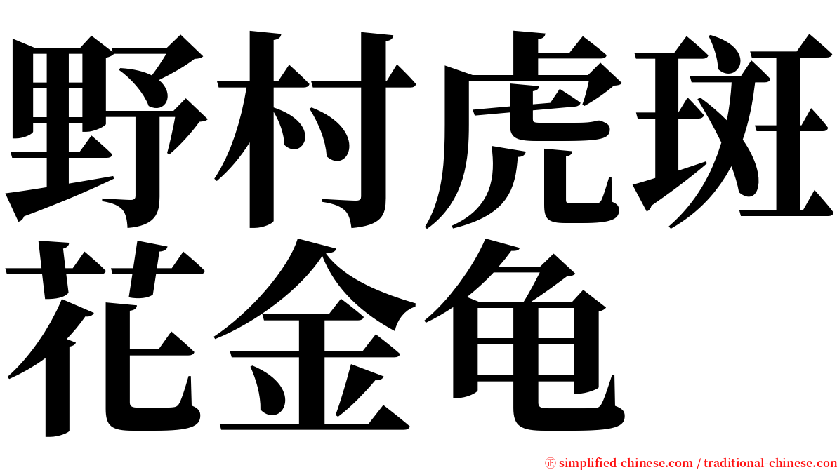 野村虎斑花金龟 serif font