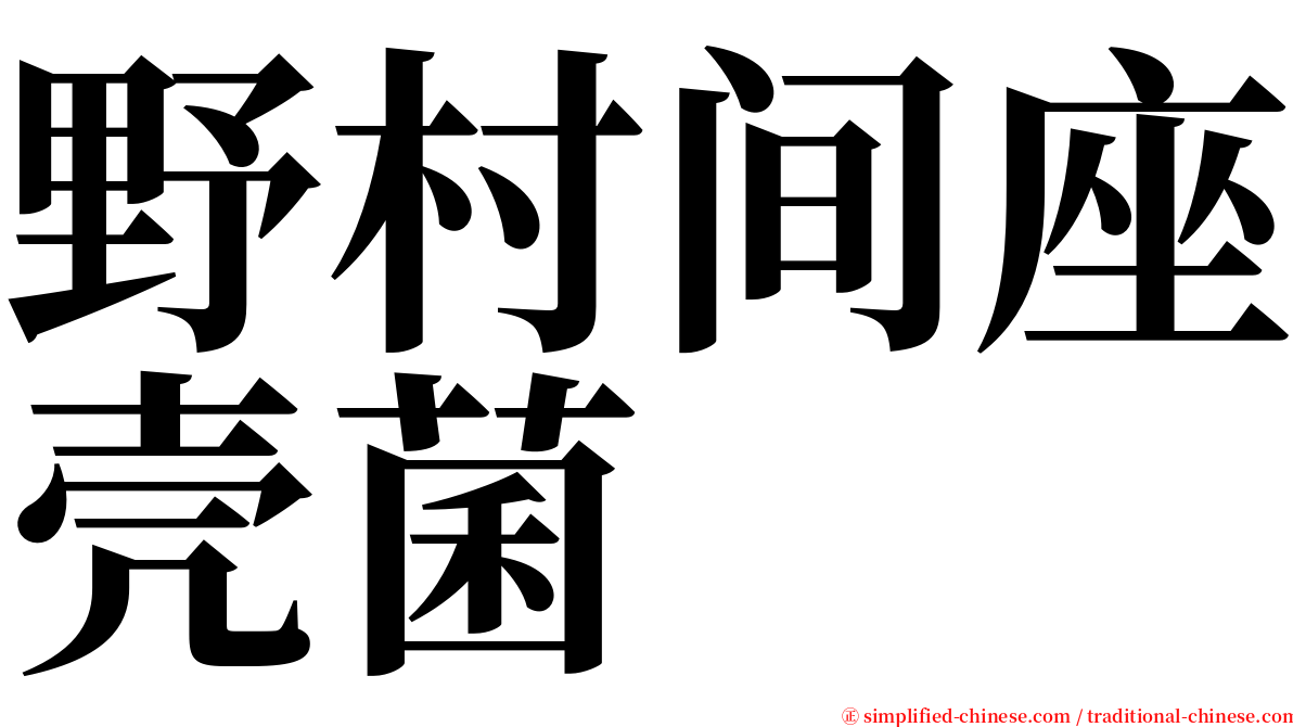 野村间座壳菌 serif font