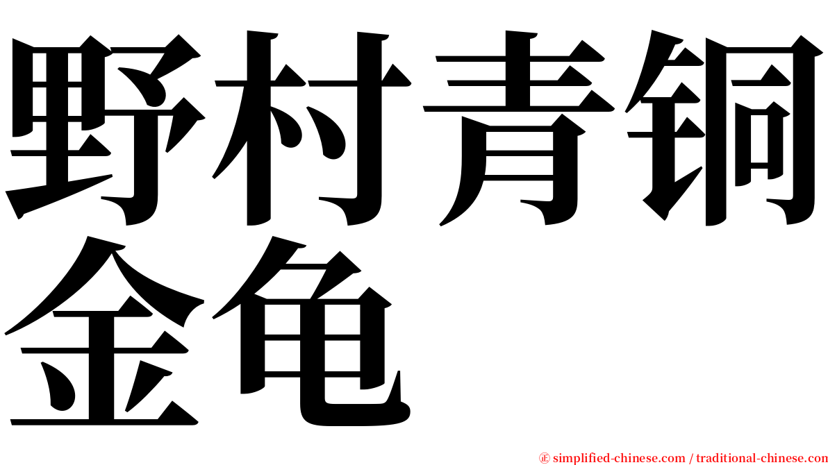 野村青铜金龟 serif font