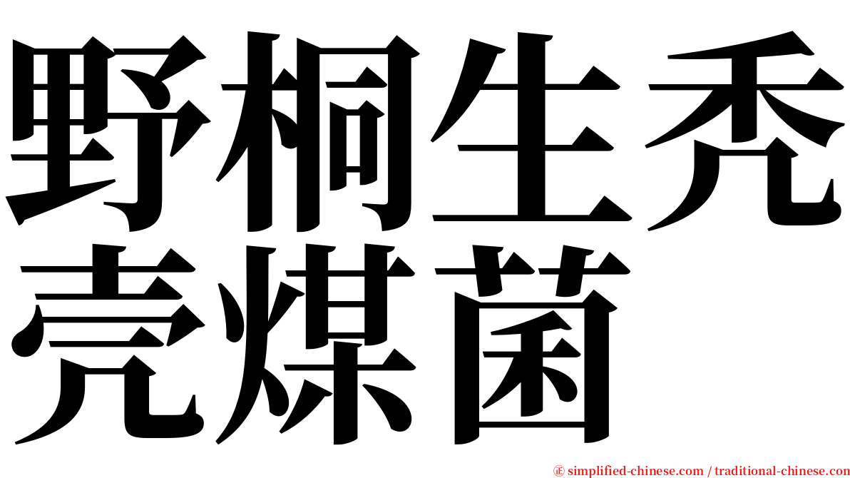 野桐生秃壳煤菌 serif font