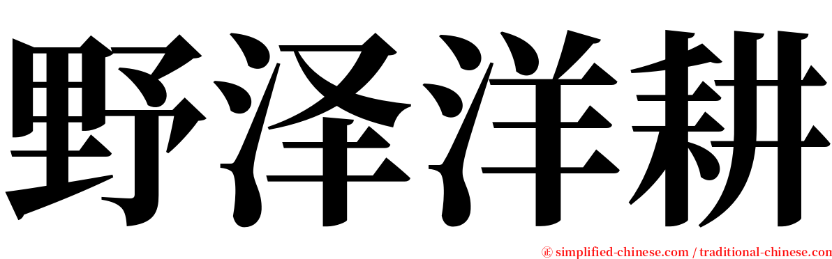 野泽洋耕 serif font