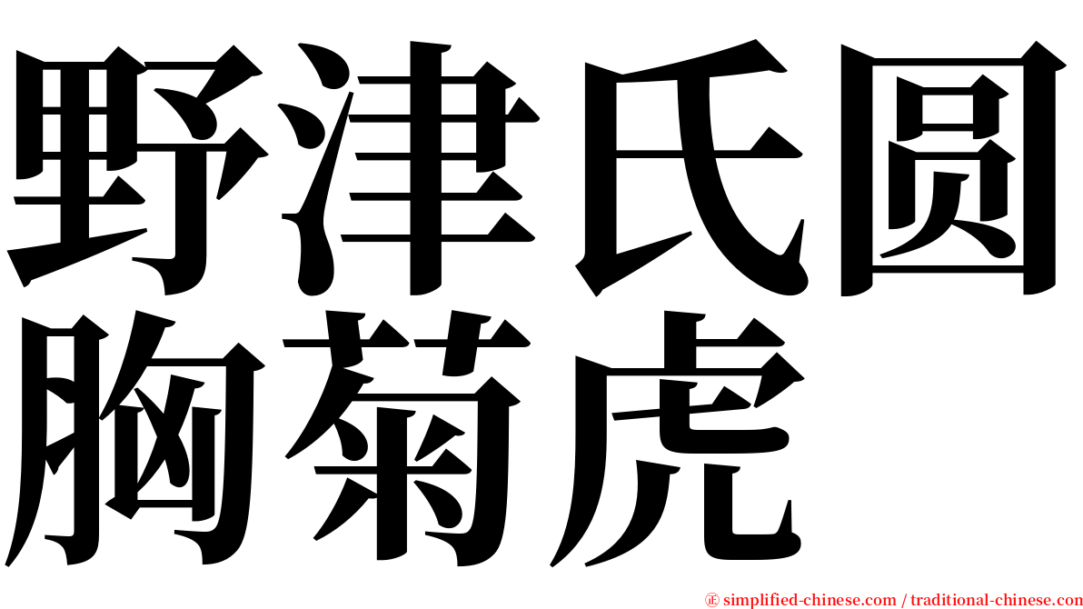 野津氏圆胸菊虎 serif font