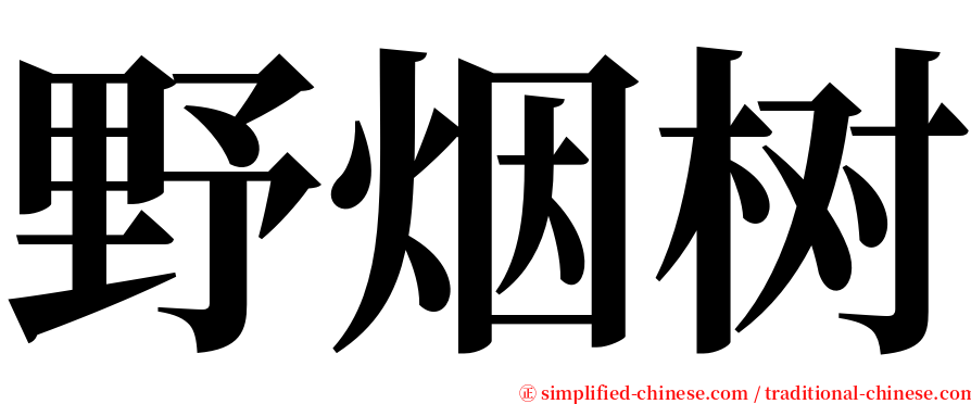 野烟树 serif font