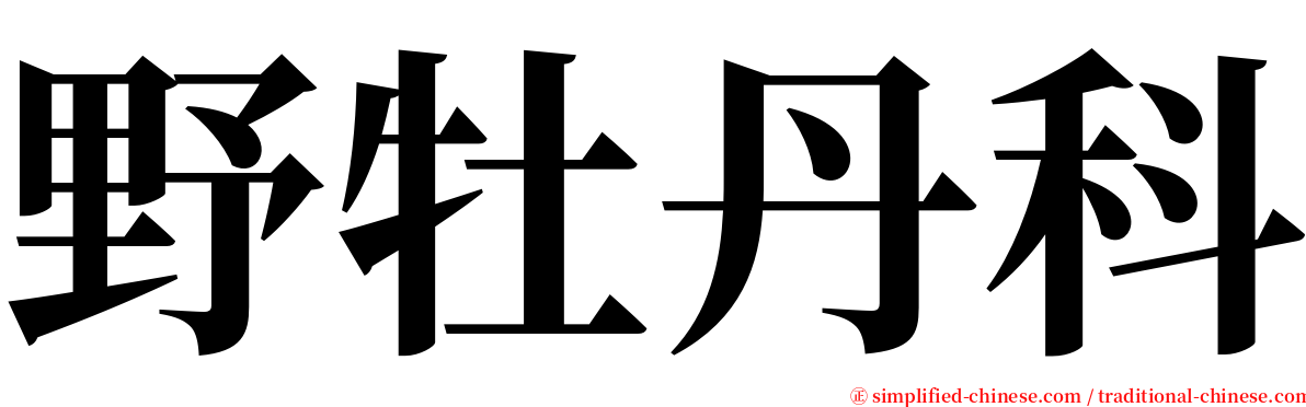 野牡丹科 serif font