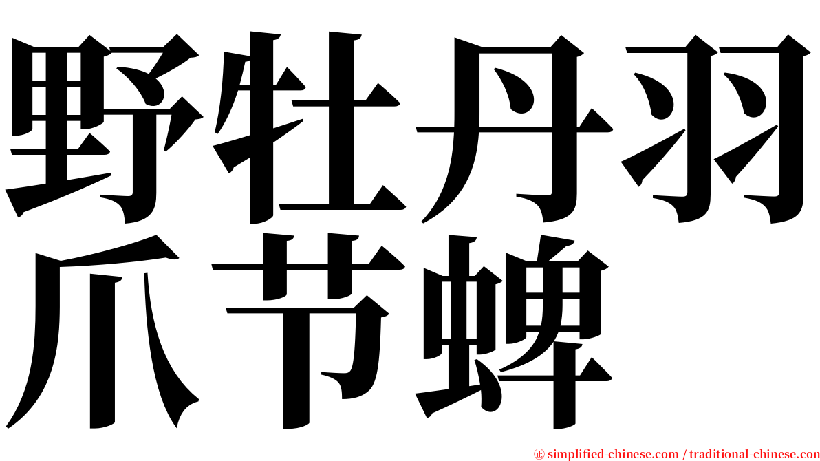 野牡丹羽爪节蜱 serif font