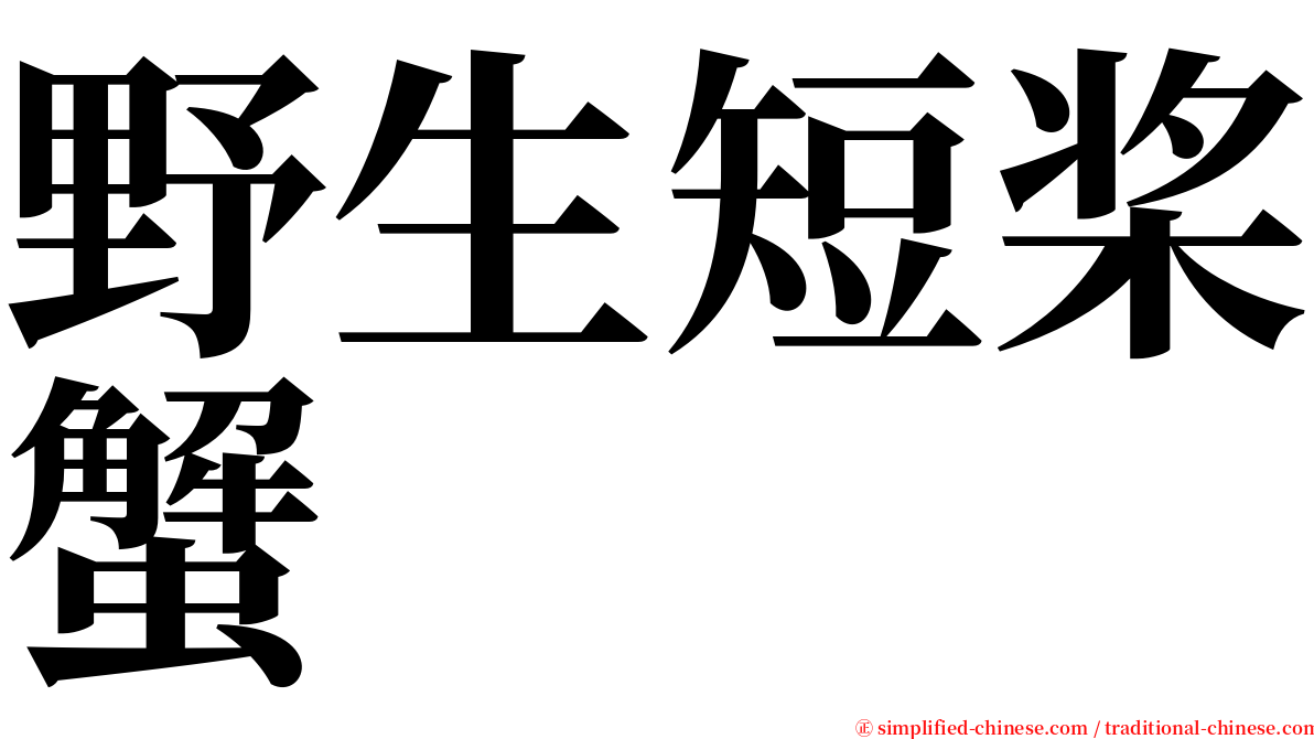 野生短桨蟹 serif font