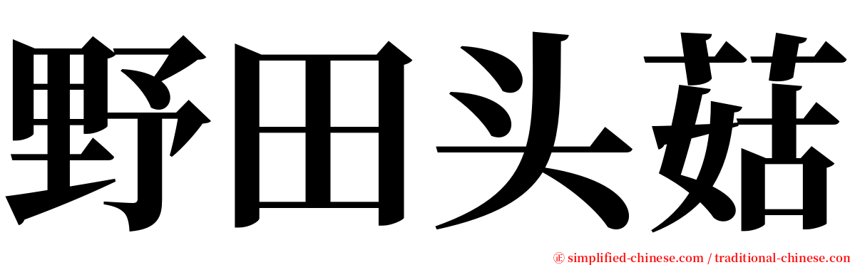 野田头菇 serif font