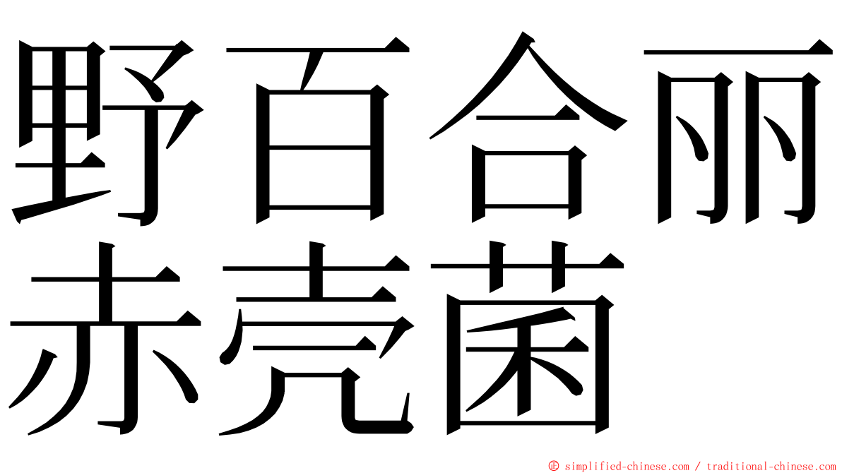 野百合丽赤壳菌 ming font