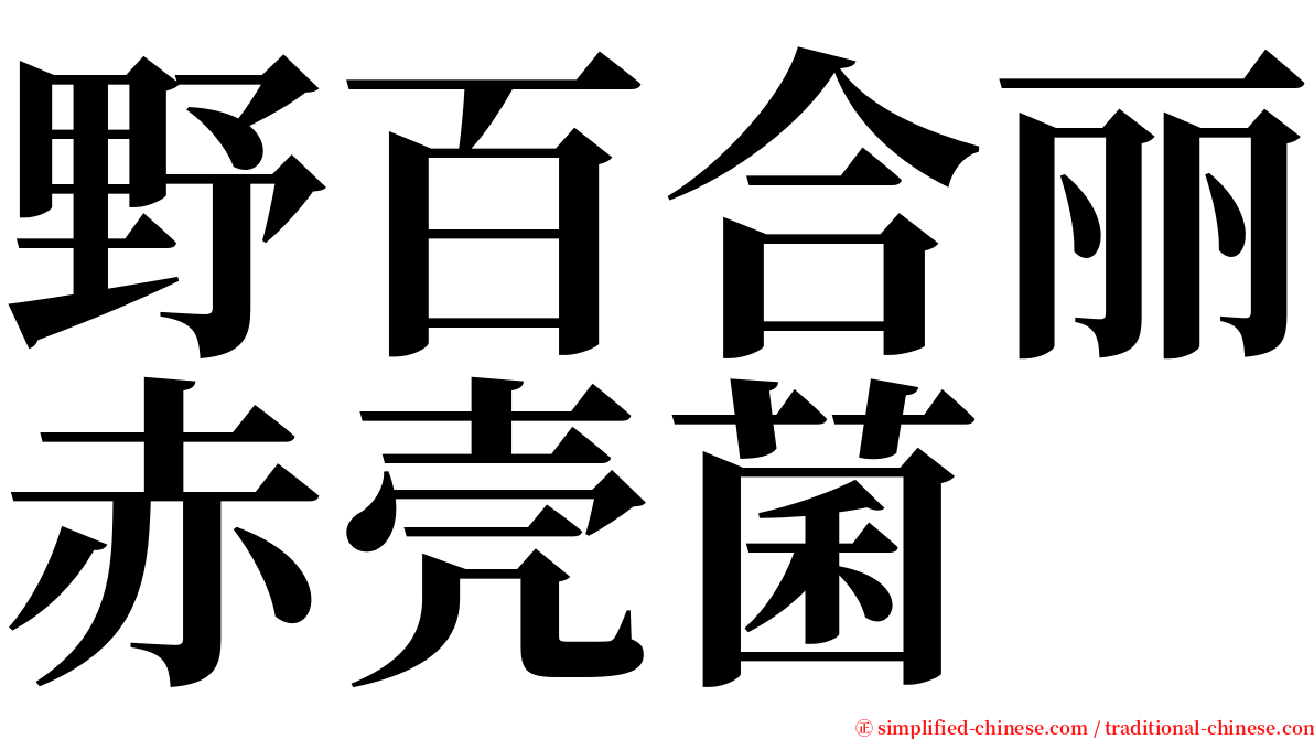 野百合丽赤壳菌 serif font