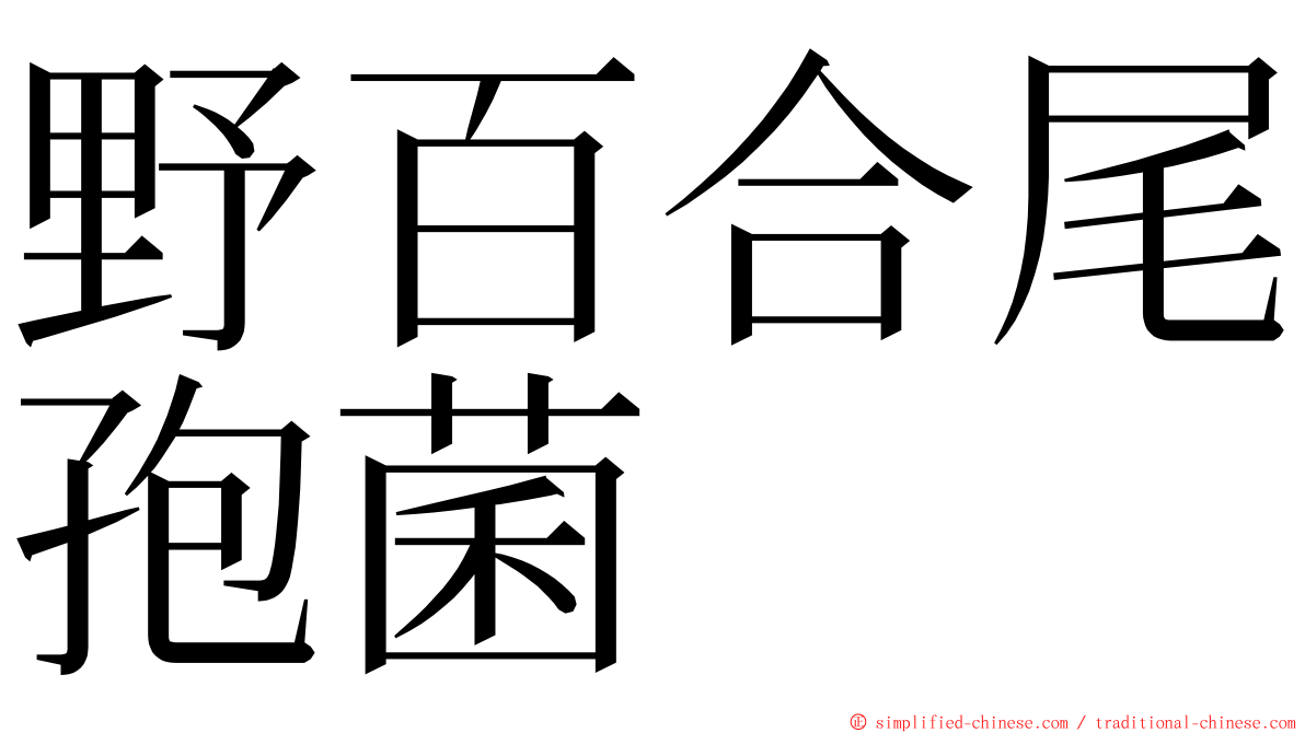 野百合尾孢菌 ming font