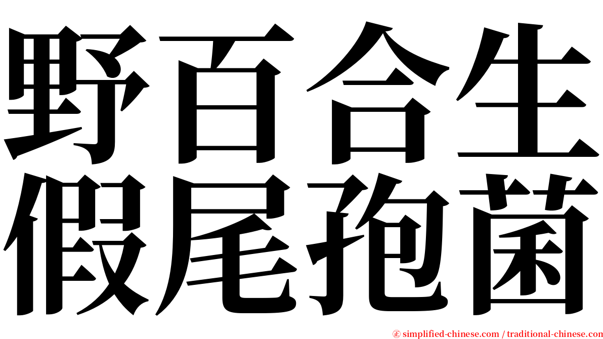 野百合生假尾孢菌 serif font