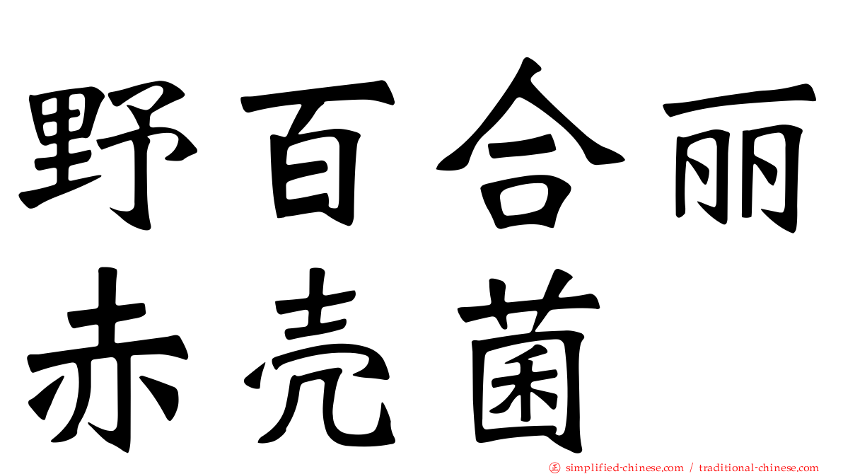 野百合丽赤壳菌