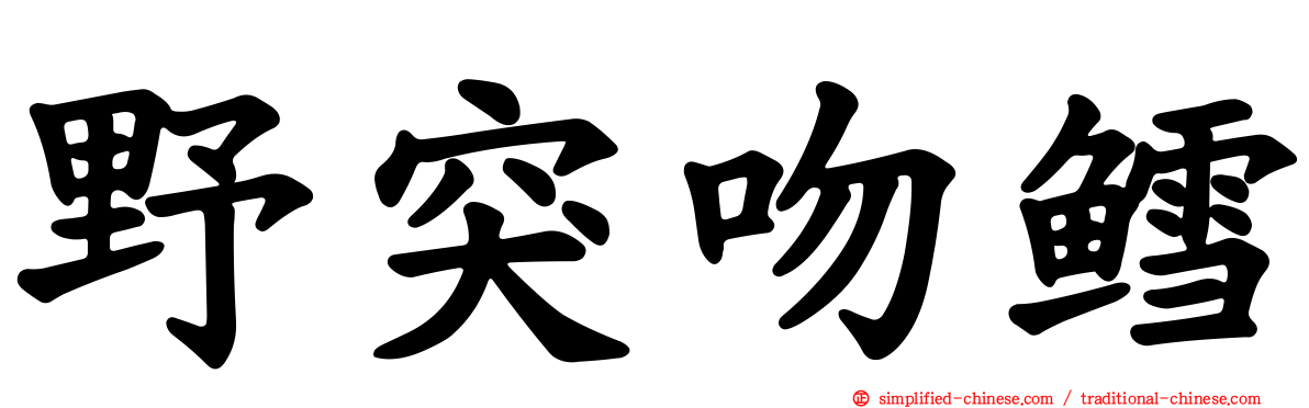 野突吻鳕