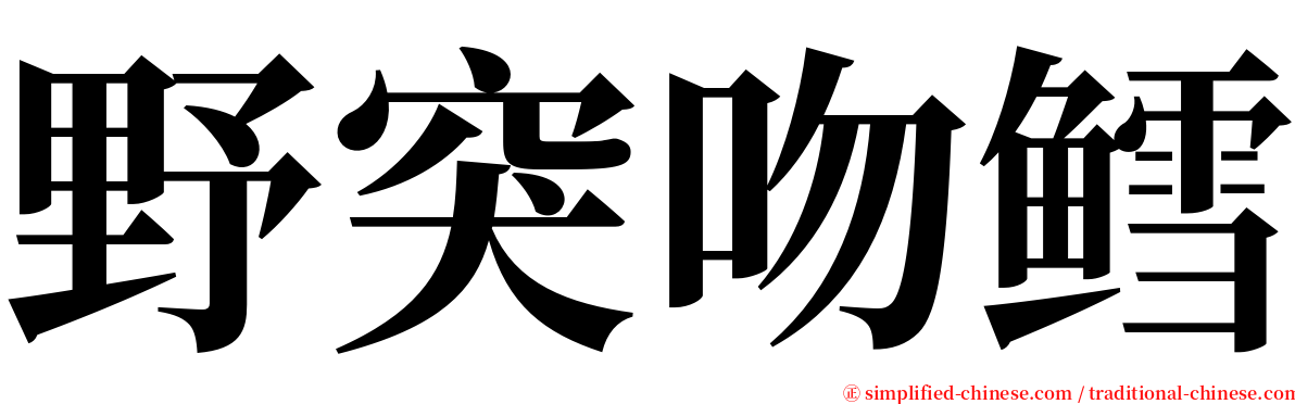 野突吻鳕 serif font