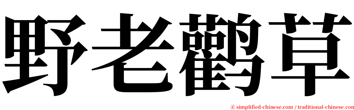 野老鹳草 serif font