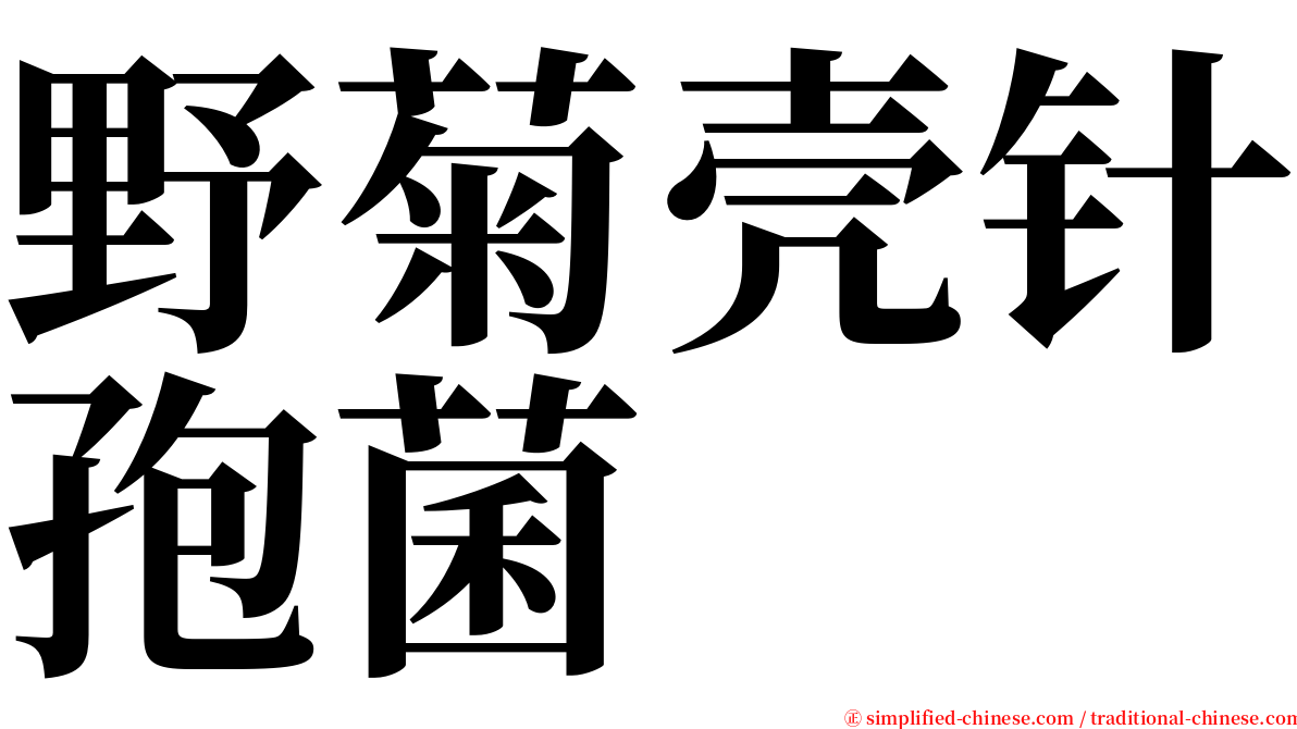 野菊壳针孢菌 serif font