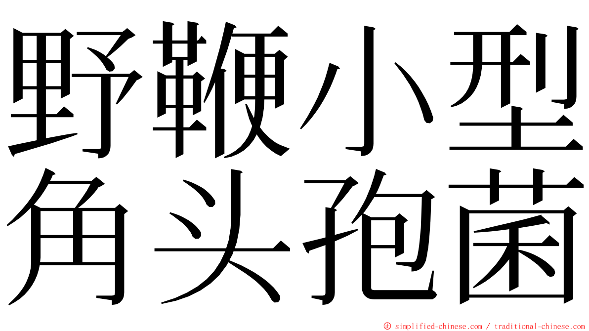 野鞭小型角头孢菌 ming font