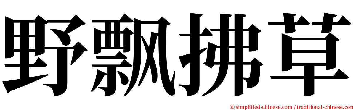 野飘拂草 serif font