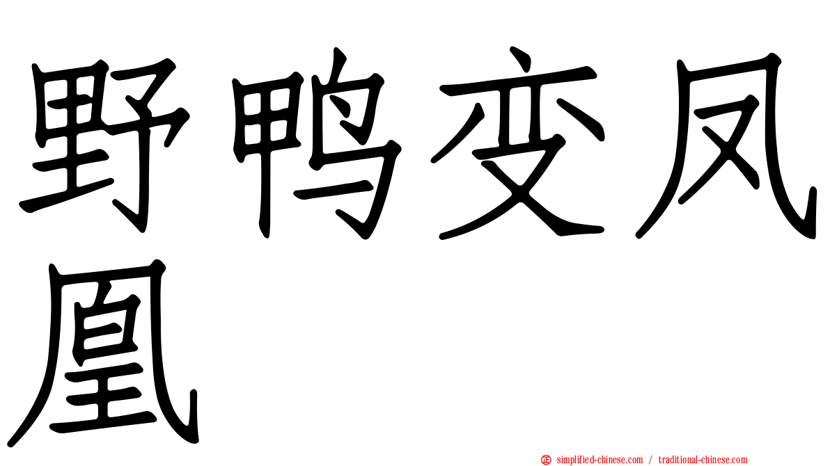 野鸭变凤凰