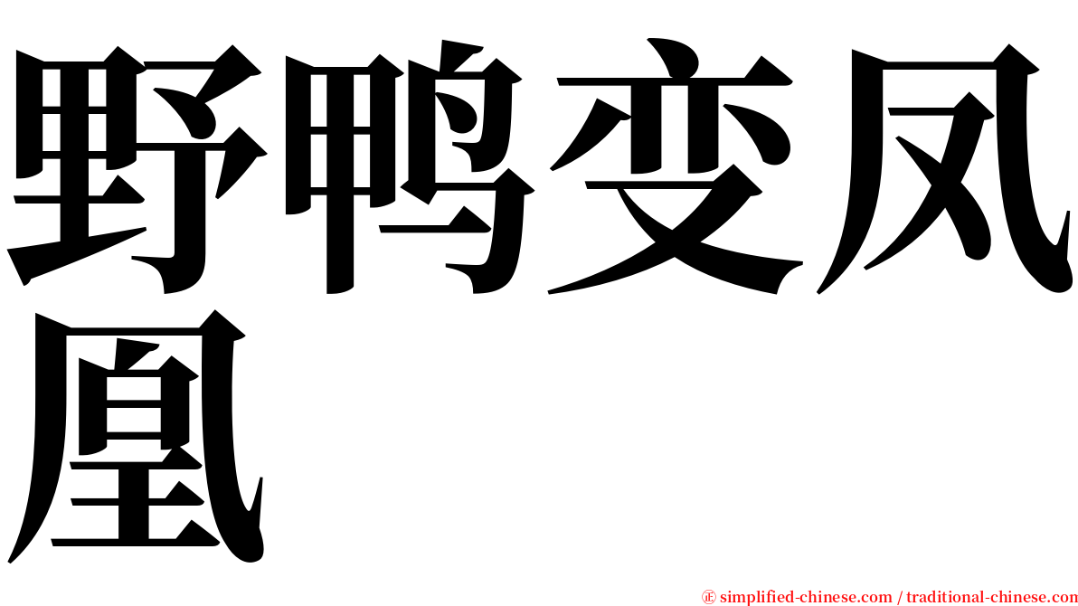 野鸭变凤凰 serif font