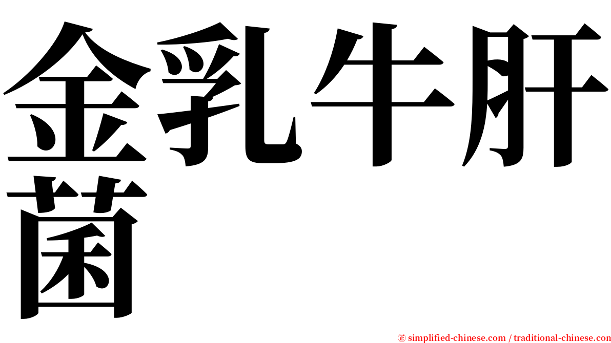 金乳牛肝菌 serif font