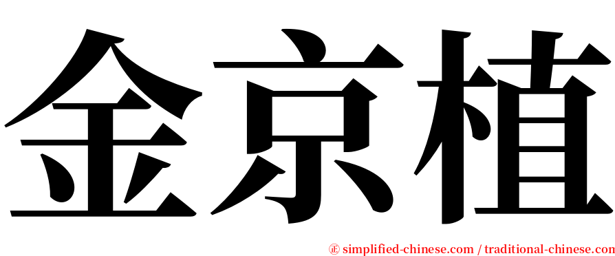 金京植 serif font