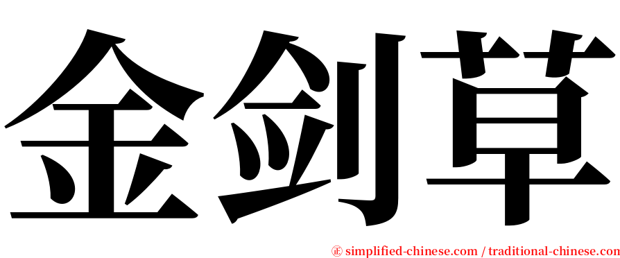 金剑草 serif font