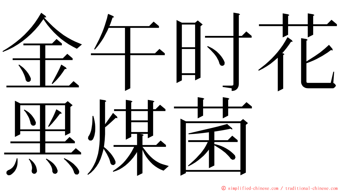 金午时花黑煤菌 ming font