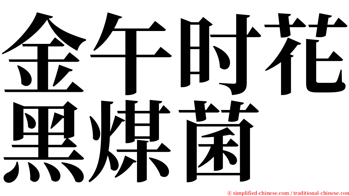 金午时花黑煤菌 serif font