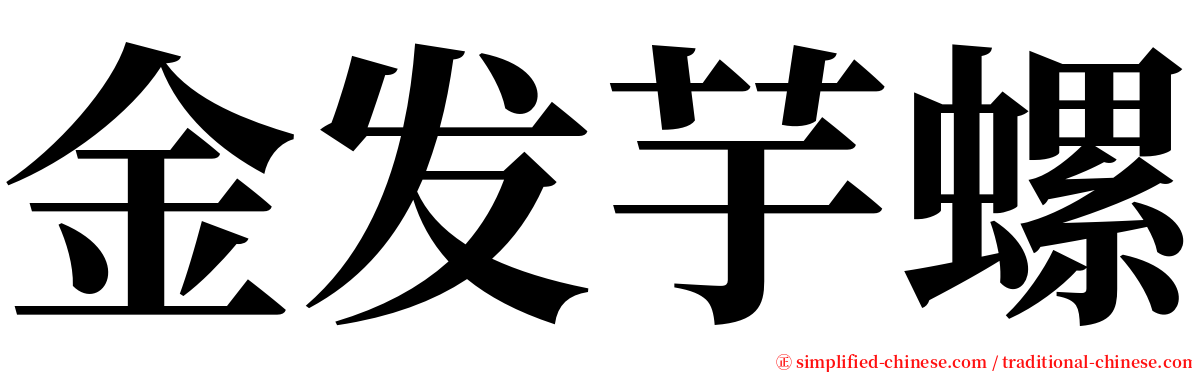 金发芋螺 serif font