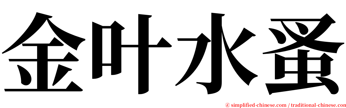 金叶水蚤 serif font