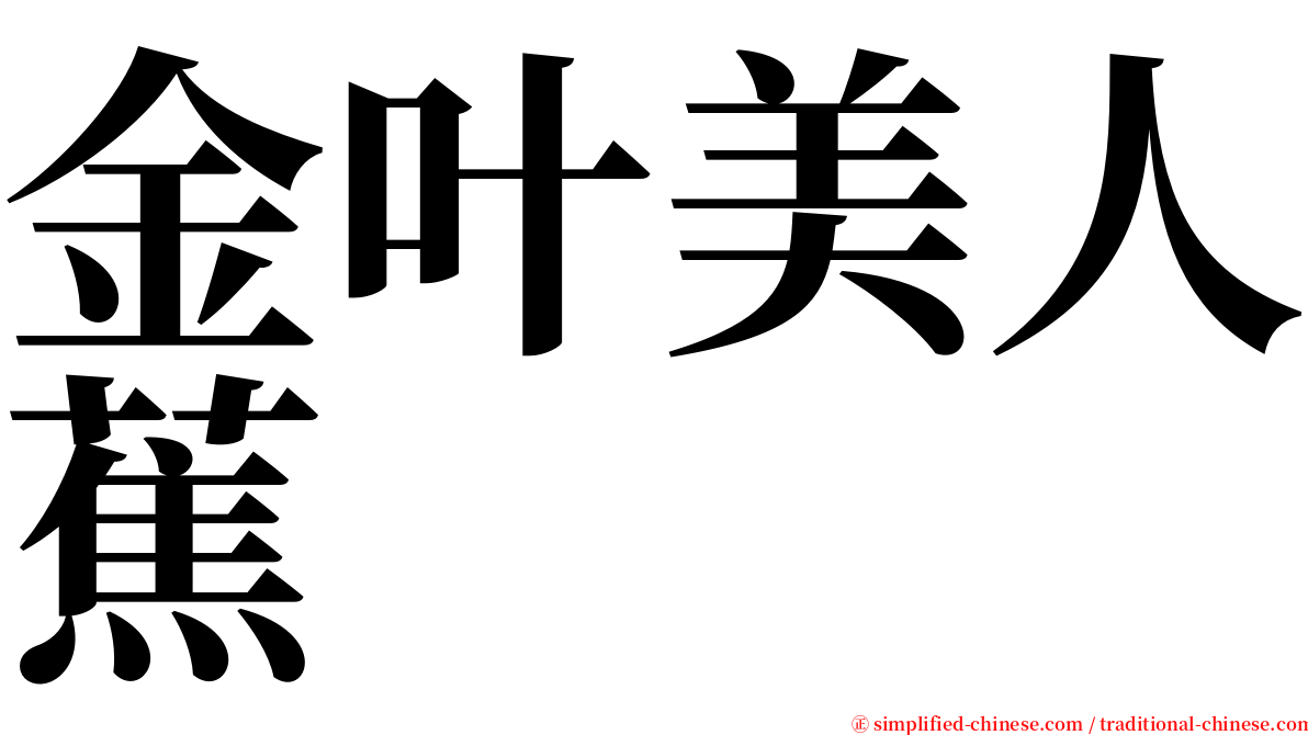 金叶美人蕉 serif font