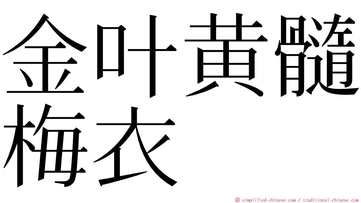 金叶黄髓梅衣 ming font