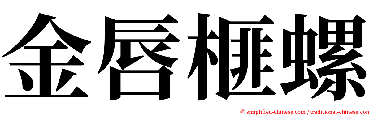 金唇榧螺 serif font