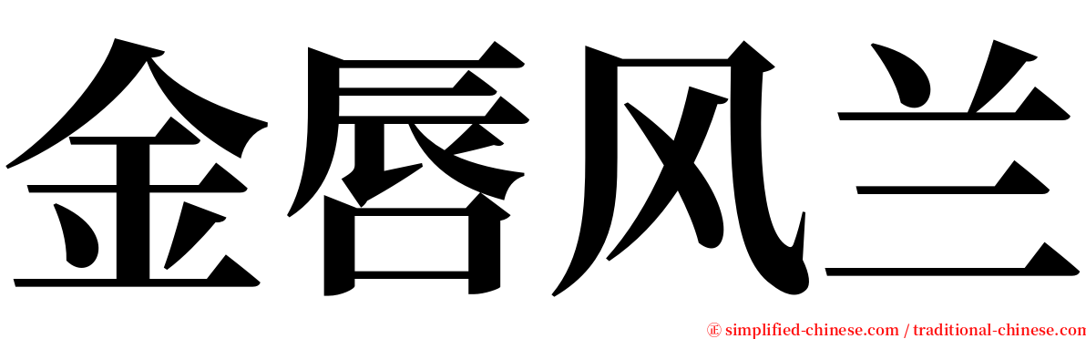 金唇风兰 serif font